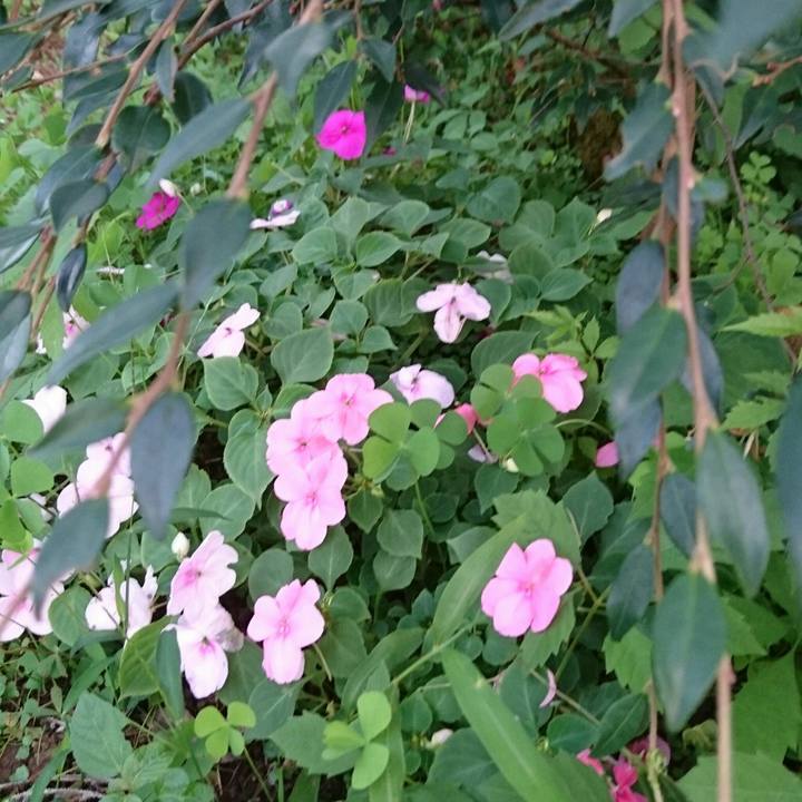 99a42c2b 00f6 498d 995c eb5bd2730eb5