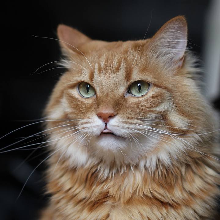 99a494f9 55d2 4647 99c2 94b5ec2e36ee