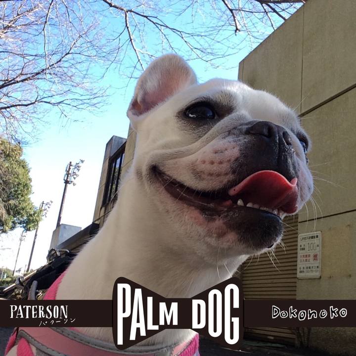 99a5128f 5fd1 4f2d 9b90 2e64a6cd26dc