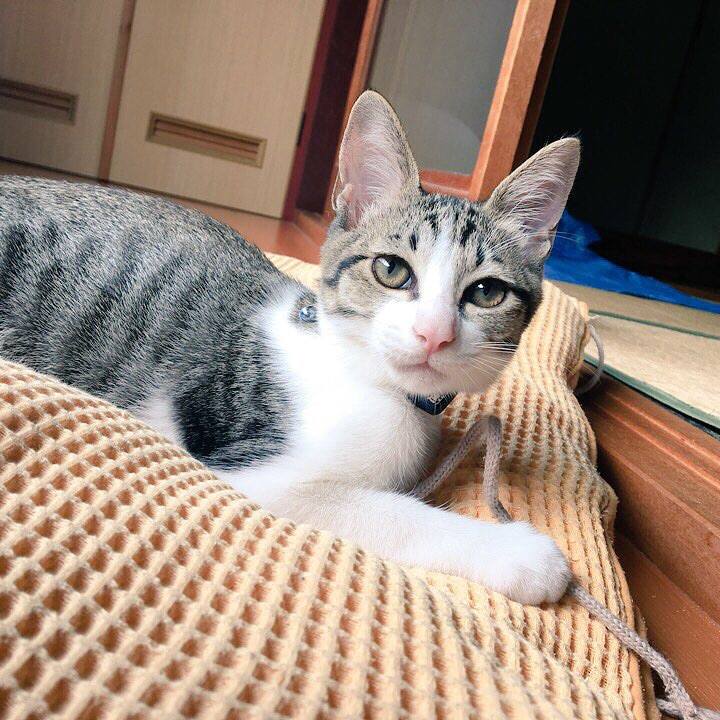 99a555ae ba48 4827 9482 b5fc2fc10c36