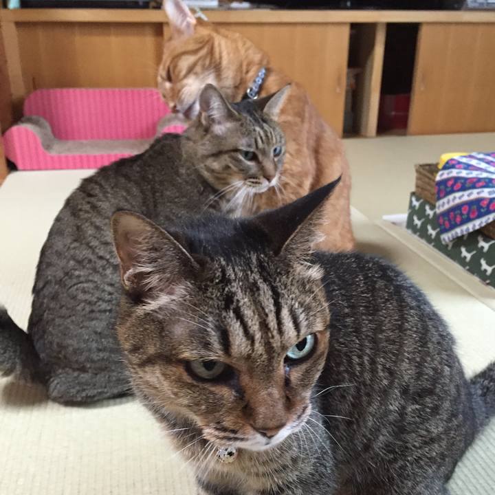 99a586c2 10d7 424d 9425 e771df85e3d5