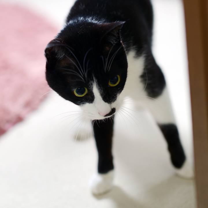 99a5c76d 0604 4d70 bfbb 91b4ad8275da