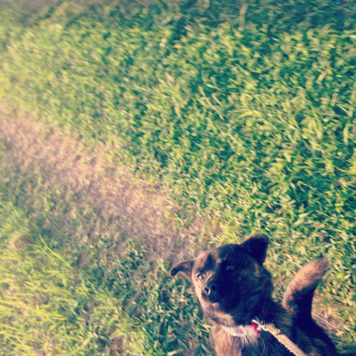 99a65296 3fda 4913 9ade c502800d18f3