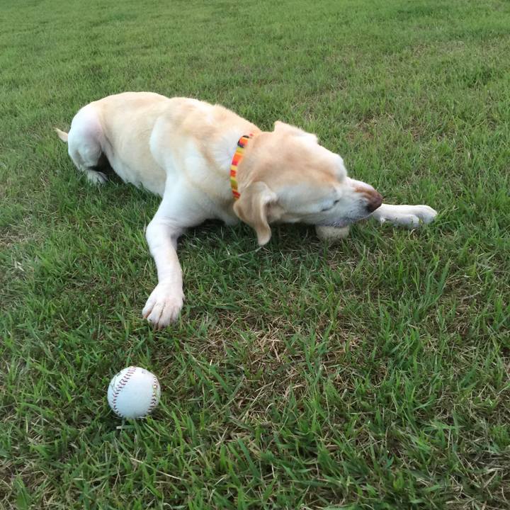 99a71e25 41a3 40c1 81ae 4f53169bcd93