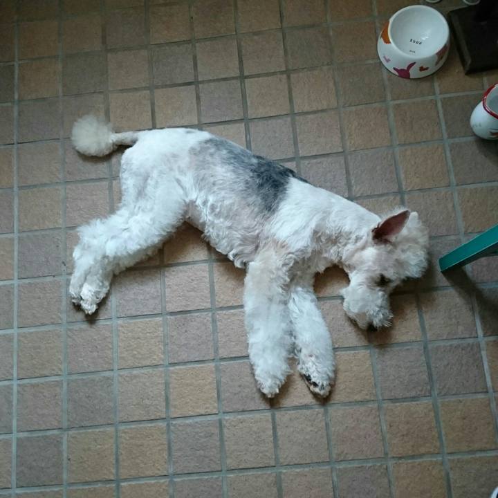 99a738d2 b952 43a1 86c6 5106fa8f6a78