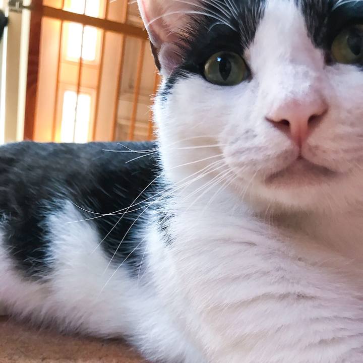 99a829b0 d5b9 4f17 9119 8cf10be5cf21