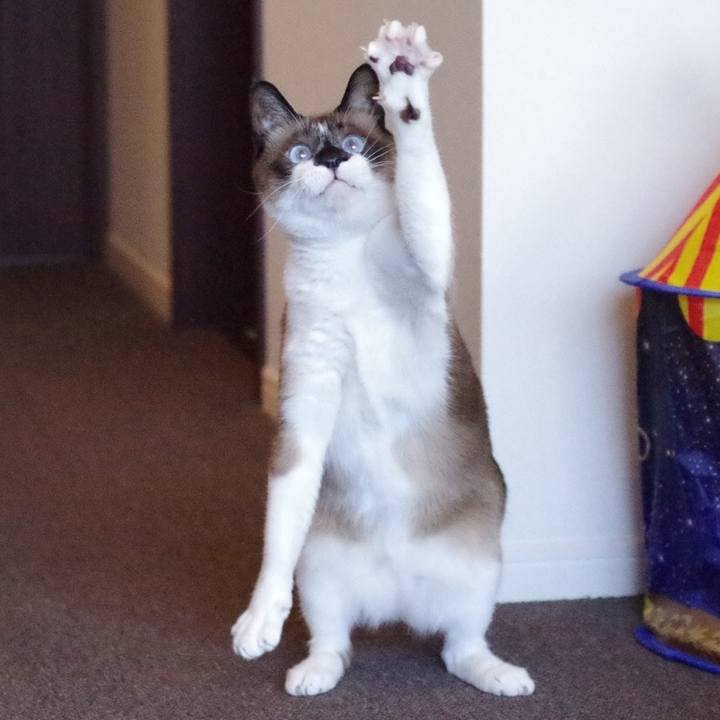 99a96cf8 fde8 4aae 9936 a4133896d9f0