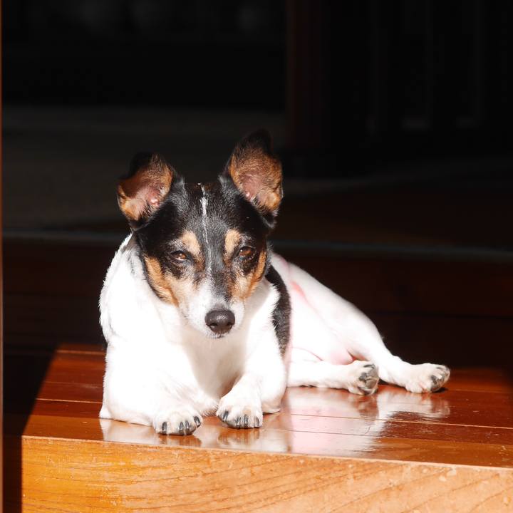 99a99abd d242 45ce 8a26 29b3b9230502