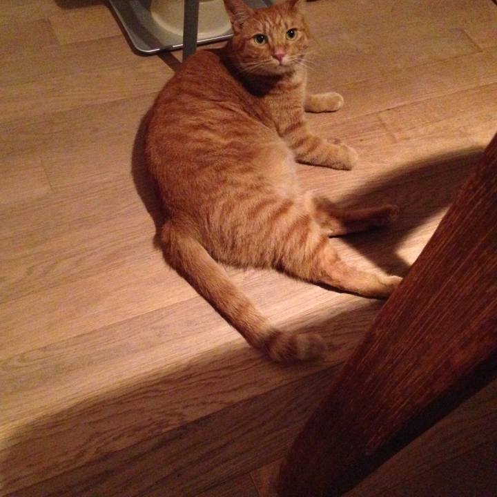 99a9a155 2568 4faa 822e 7044d2556576