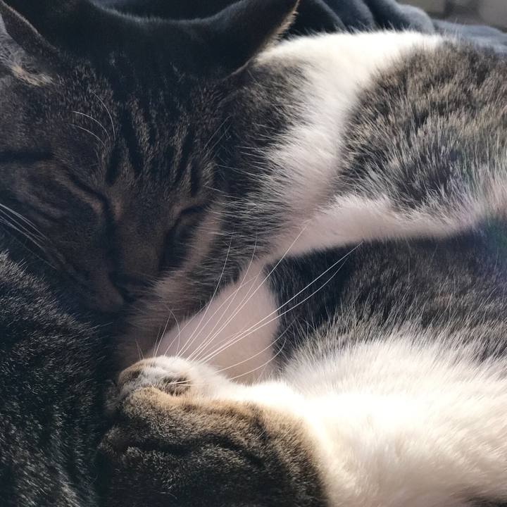 99aa9772 83cd 4fd1 9a3f 8eea91f21be3