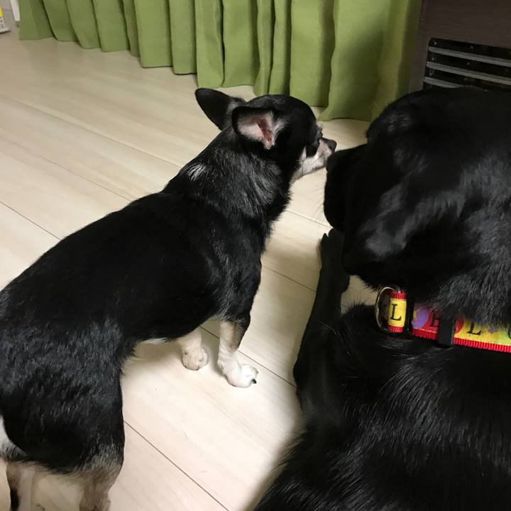 99aaf417 0843 4696 952a 06e537a766f8