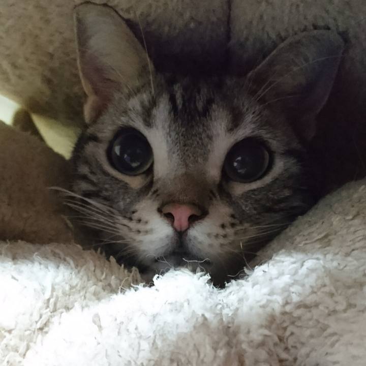 99ab5d9b b2cc 48f1 a96c 1f1979c52213