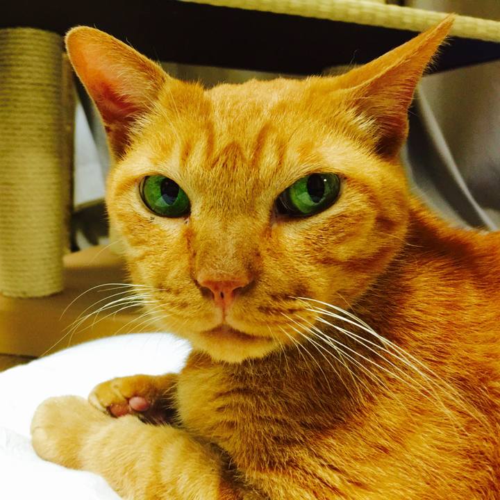 99ab82e0 4a45 4edb b12a 59a57e7f0529