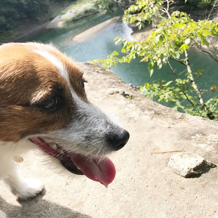 99abba4c af42 4dd7 b418 68c5bf3b8cf1