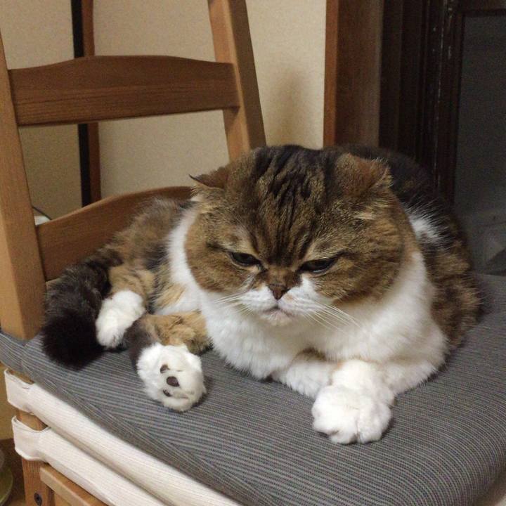 99ac1e3c ec9a 4afb b23f 613d76fc4aa1