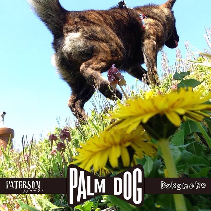 99ac3dfc 0164 4c52 90f1 13027fa69d78