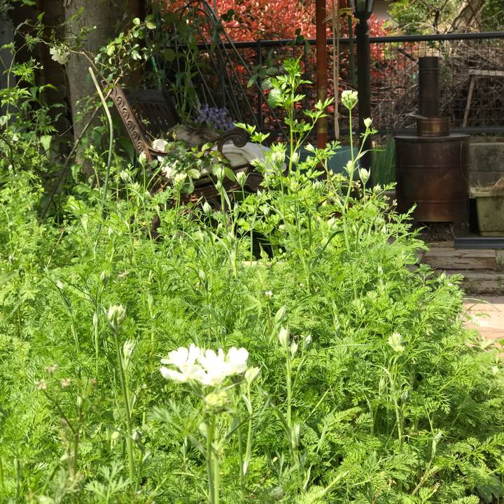 99ac9d8f 5cb5 42d4 9be5 406377b335bb