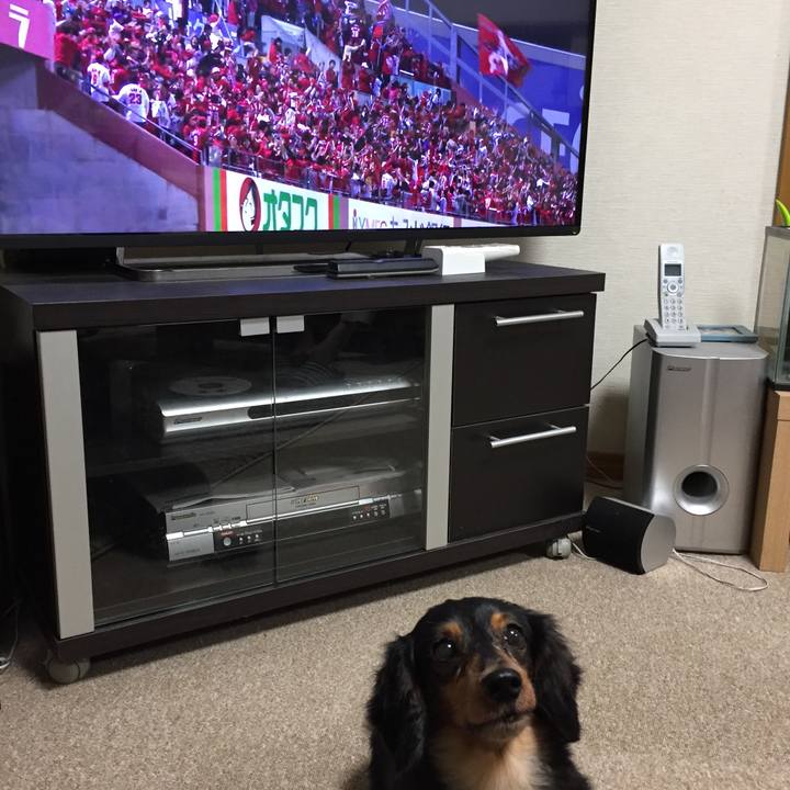 99ad2e70 581c 4327 a75d 2e165e16785e