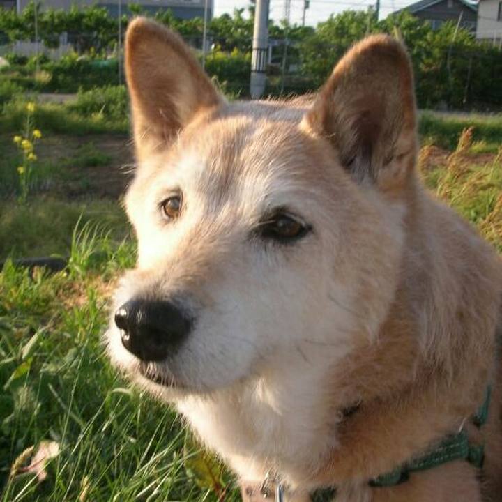 99ad2f5a 4e5d 459c 89b8 ac03657ea2f3