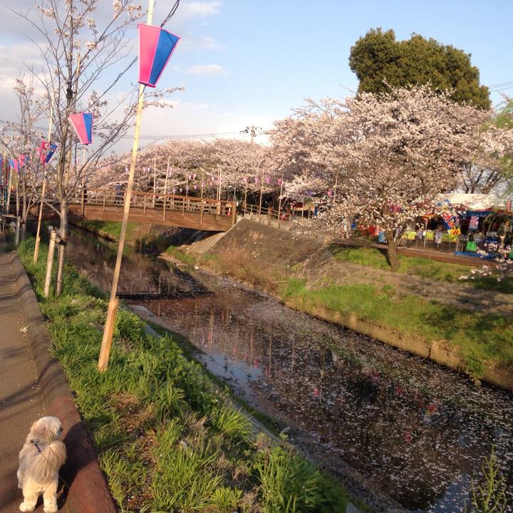 99ad376d 5cd5 4775 85bd 48a2a78e5b80