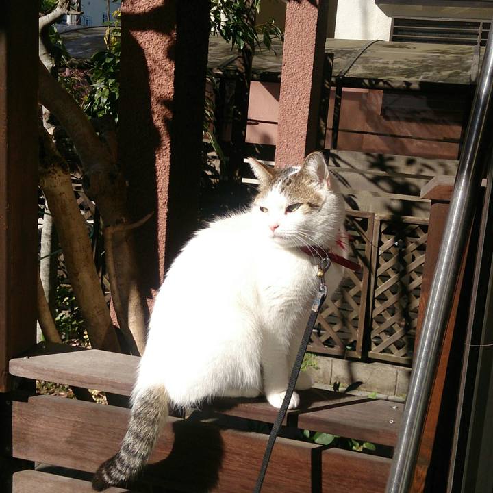 99ad6e6e 721c 49a6 aee1 88ad2100eb68