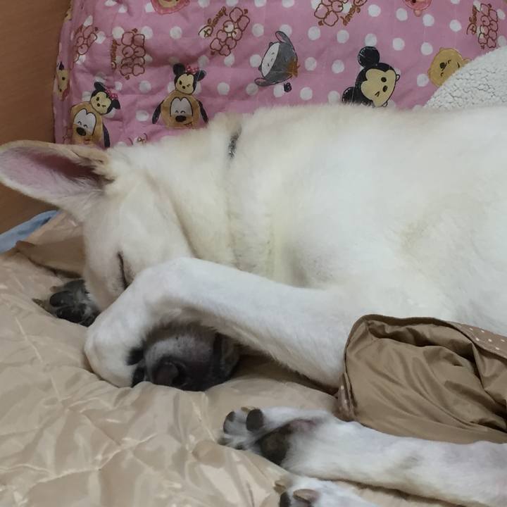 99ad78de 5844 4a9e ac82 e5738ec5ddad