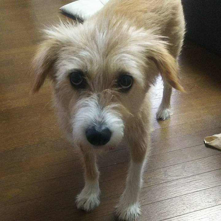 99add156 9560 4cd7 8f99 9ffd23b568f6