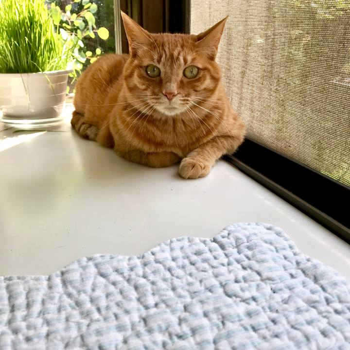 99aeb537 c590 4c02 8f0b 85f15adc9b43