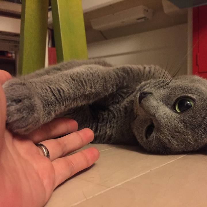 99aee0ee 214d 45de a585 3ef82fde7288