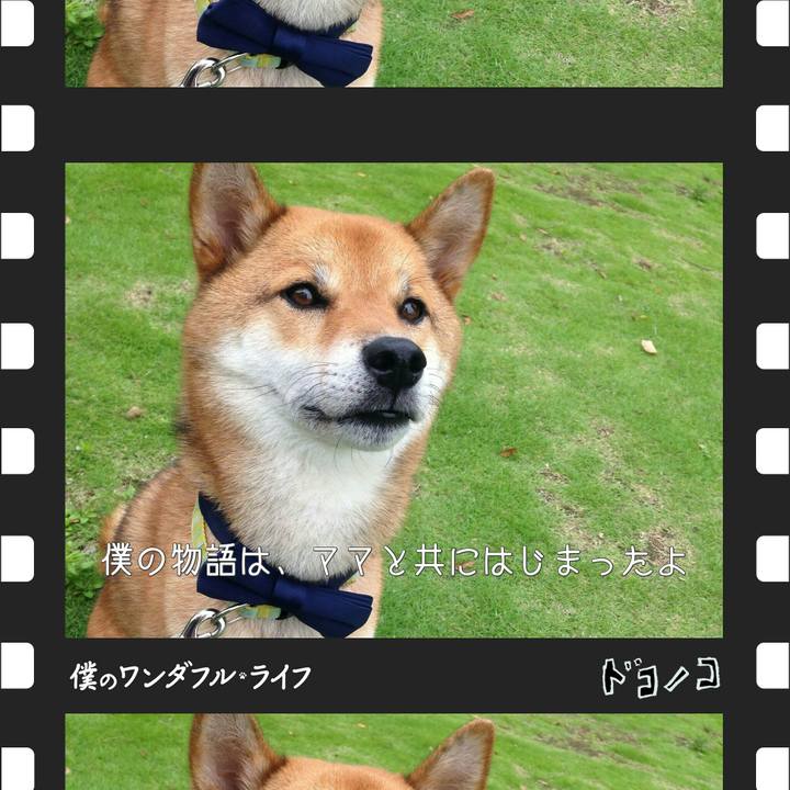 99aef74a 09a6 447e 82af a20b221352e8