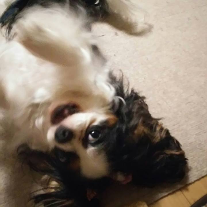 99af4471 c650 490d b036 2d6bd2c26e57