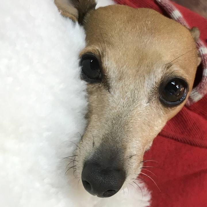 99af6e83 934a 461c 92f7 e70d69749124