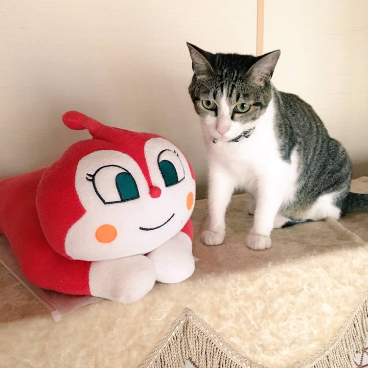 99b086c2 c96c 4564 8932 0cb178b6b9d9