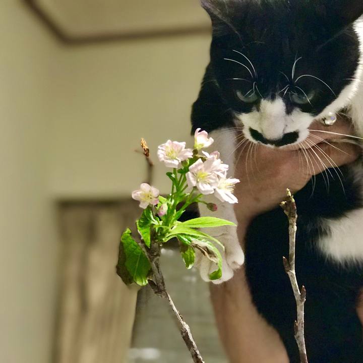 99b0c0fe cab2 4bee a43f 14e100e1b476