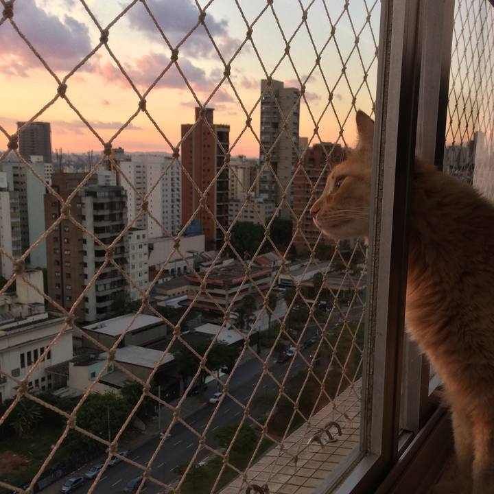 99b0f12a cb2b 4ee6 a2ad 85e02523550f