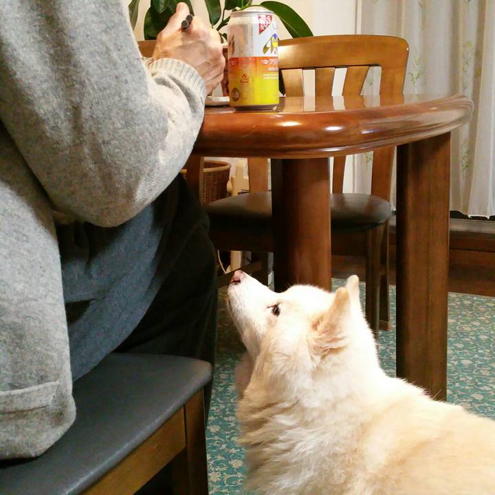 99b13422 bee5 44f4 8950 833143b4744d