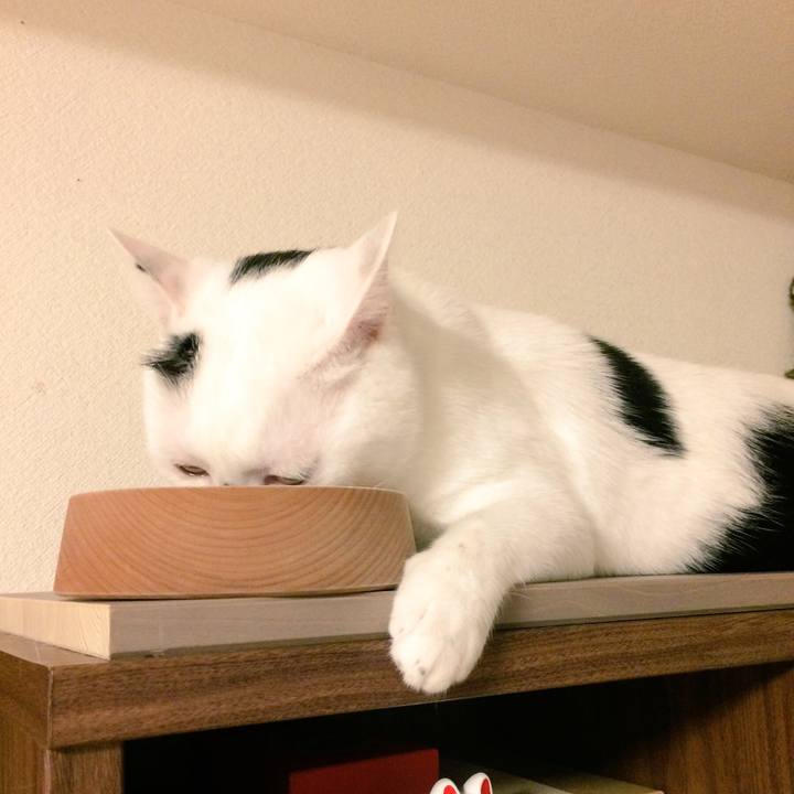 99b1e8c8 d17f 4982 91f2 d5369eb71e62