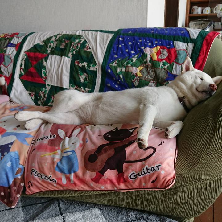 99b1fca1 8182 4677 a81e f34f29c067b6