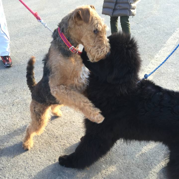 99b26f66 5661 4d0a b95c cdfdb8e7e3fa