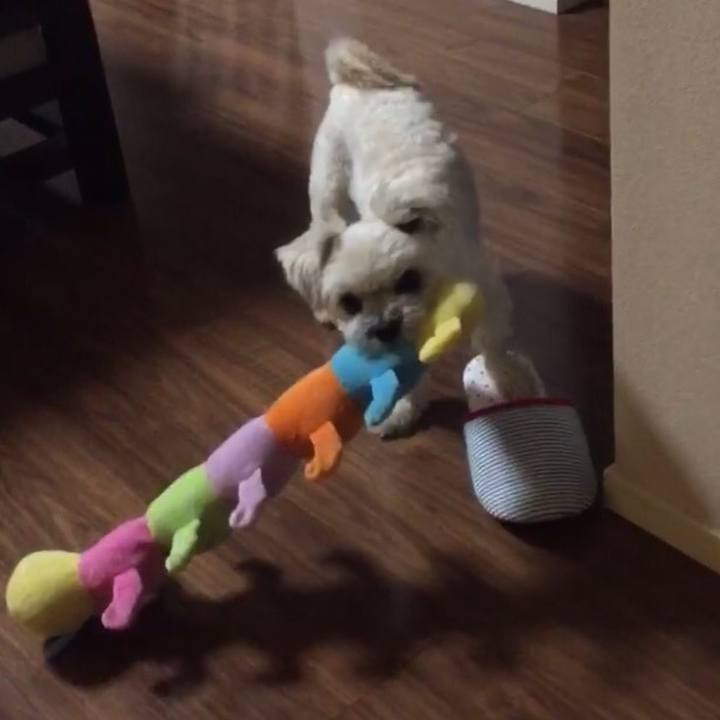 99b2705d e49b 4d5d 8cc6 3635cf5f5439