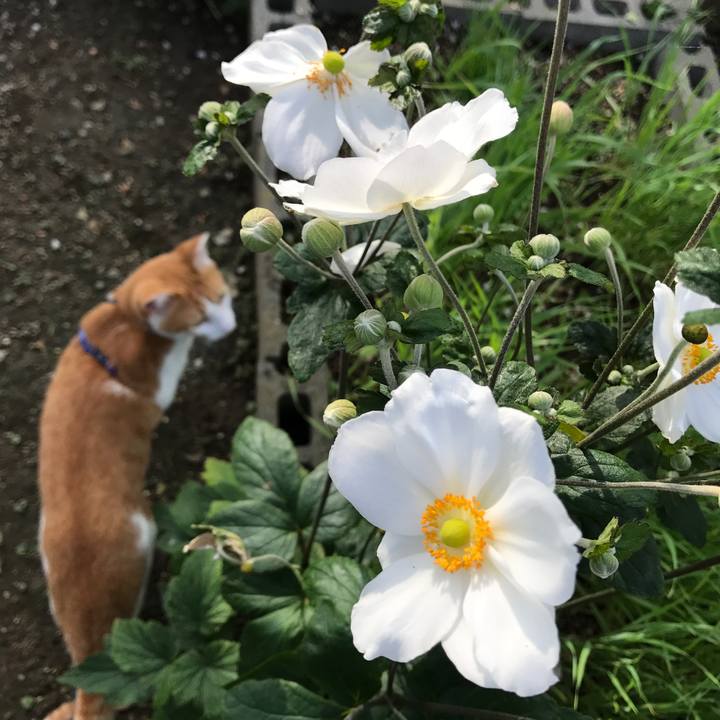 99b27950 14db 46a5 9dc8 14cb0e1718d4