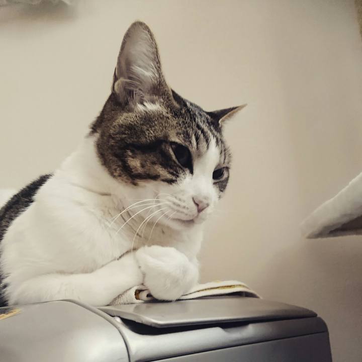 99b33b33 5cc2 43b3 8275 22330a9252cc