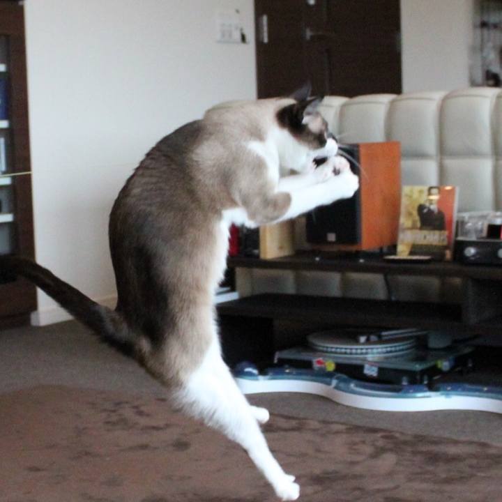 99b3a4ce d734 458f 8fe2 58e44ee16691