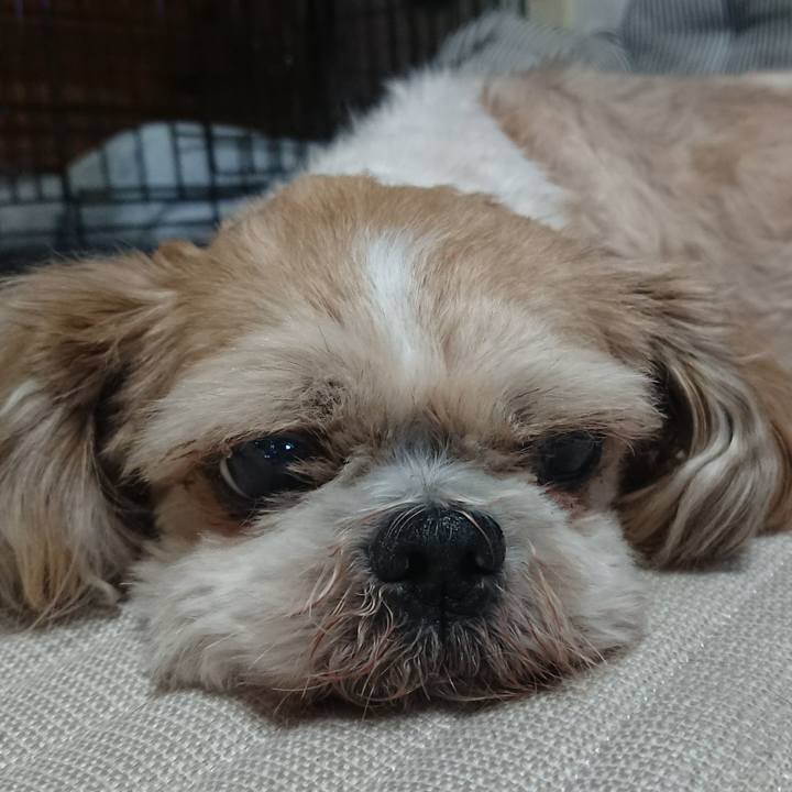 99b3cab6 0696 4ae5 9f66 f53f62634308