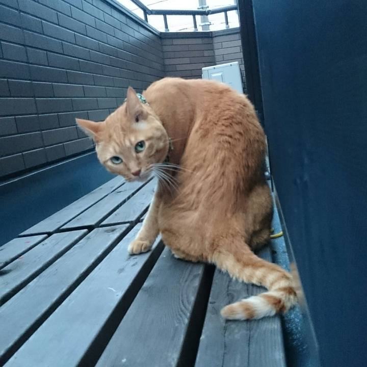 99b458f3 05d9 4048 bc6c 8d2208c3d162