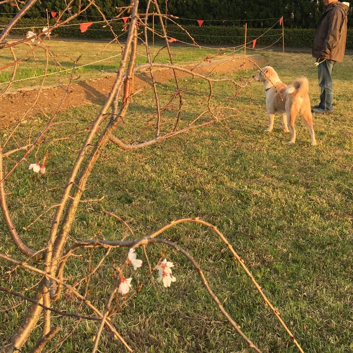 99b45f75 eac5 4a32 aff3 342db94732ea