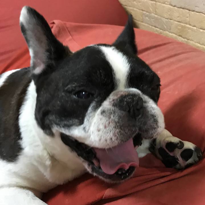 99b5883f 1f98 449b 9189 d87e29519ee2