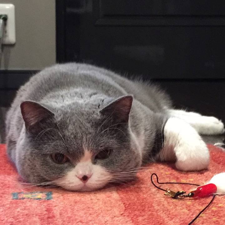 99b5bc91 04e9 474a a819 a358a7048810