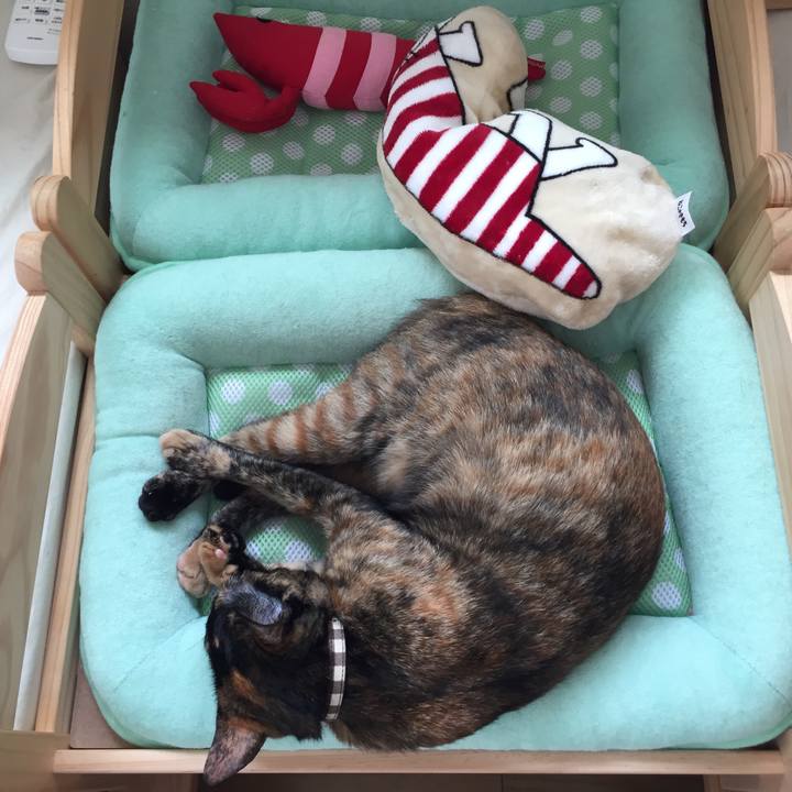 99b6487e e1a7 4e15 b702 7cc5f0a80ef4