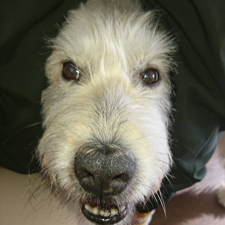 99b735a1 6448 48a5 9d9f 6e497b5bbf2f